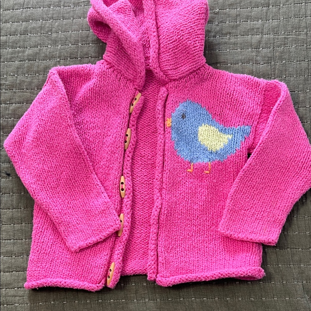 Pink Kids Sweater with Bird Design